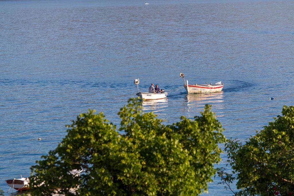 Villa Veca Starigrad Paklenica Εξωτερικό φωτογραφία