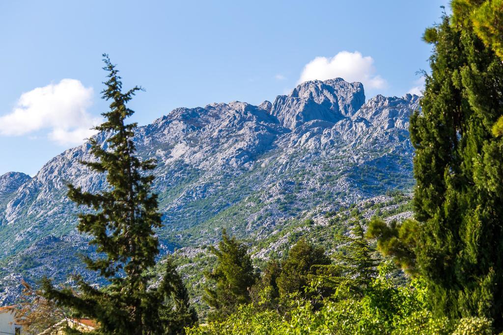 Villa Veca Starigrad Paklenica Εξωτερικό φωτογραφία