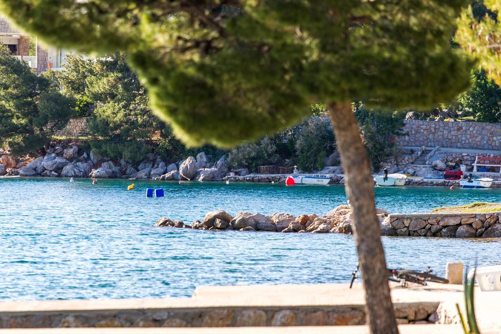 Villa Veca Starigrad Paklenica Εξωτερικό φωτογραφία
